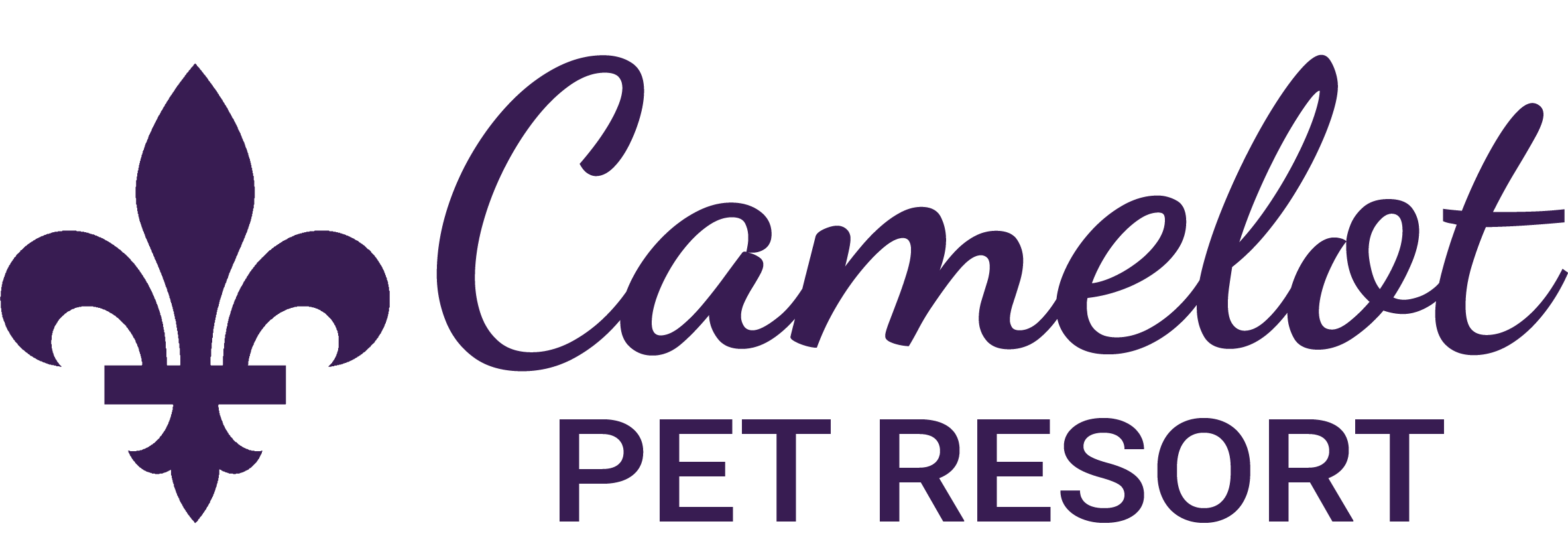 Camelot home page